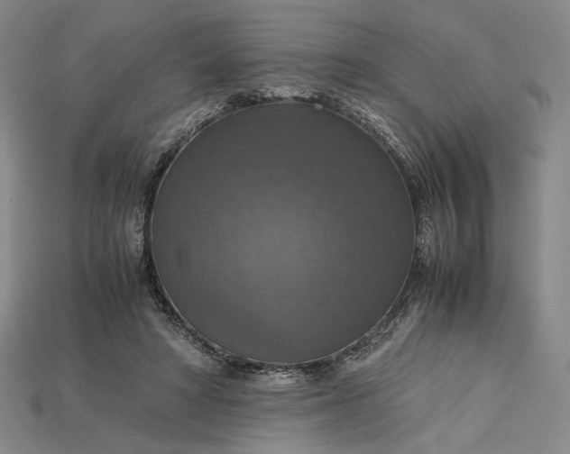X0000115180402200911121805