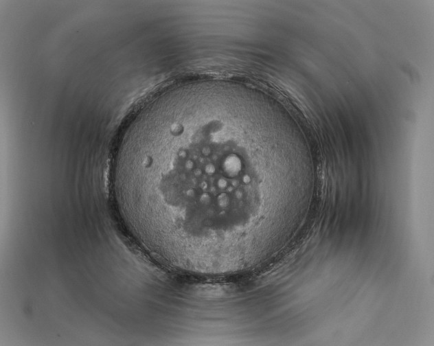 X0000115180404200911121805