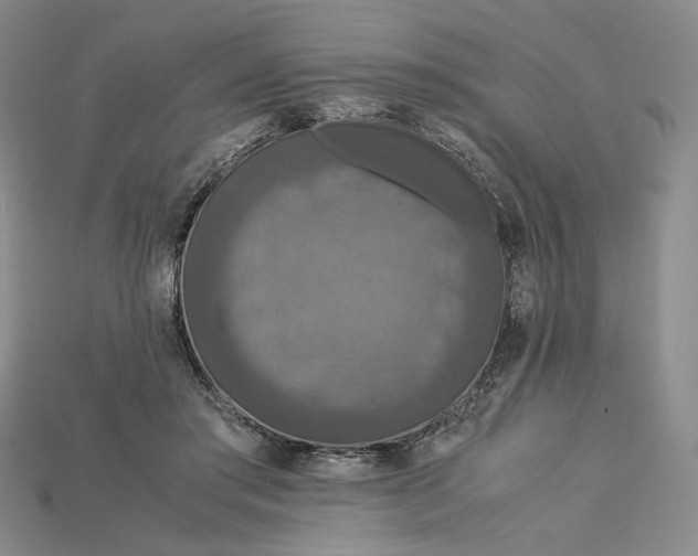 X0000115180405200911121805
