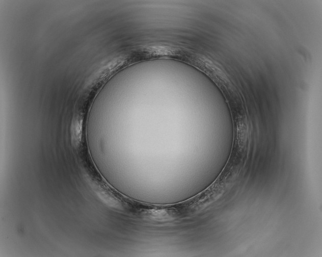 X0000115180406200911121805