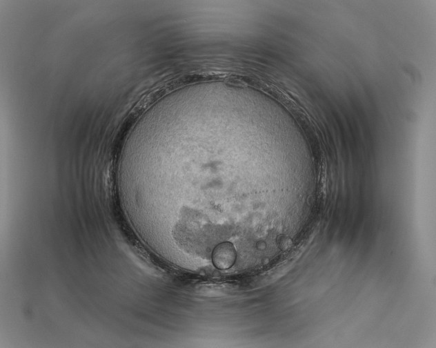 X0000115180408200911121805