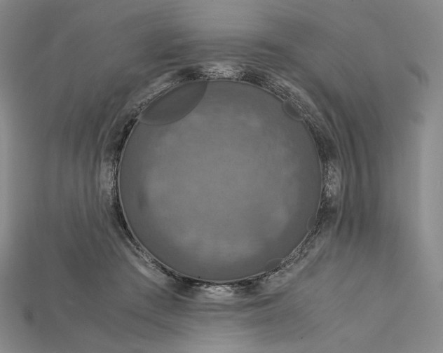 X0000115180409200911121805