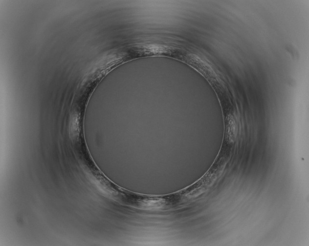 X0000115180410200911121805