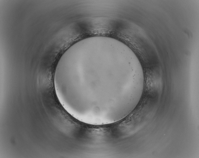 X0000115180411200911121805