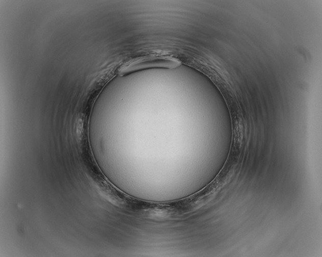 X0000115180412200911121805