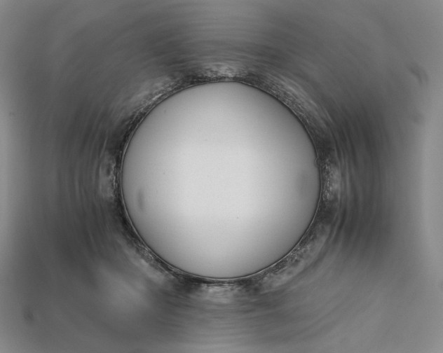 X0000115180414200911121805