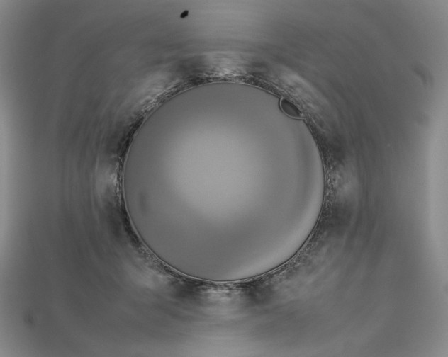 X0000115180415200911121805