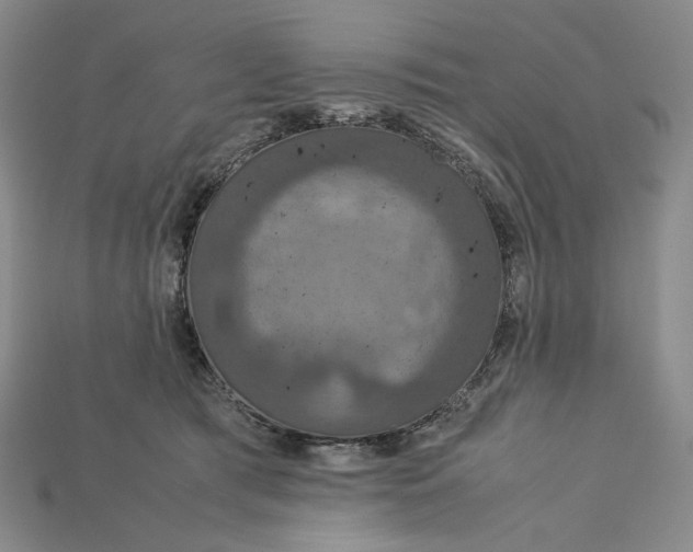 X0000115180417200911121805