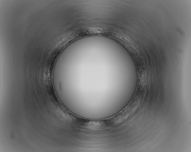 X0000115180418200911121805