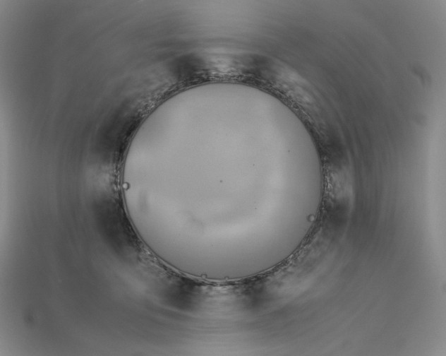 X0000115180419200911121805