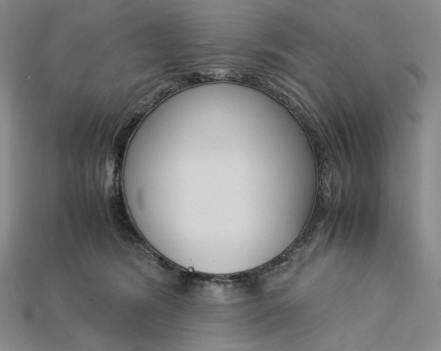 X0000115180420200911121805