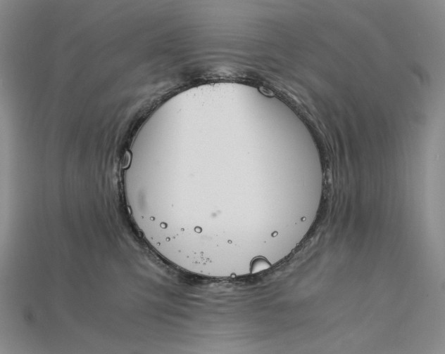 X0000115180423200911121805