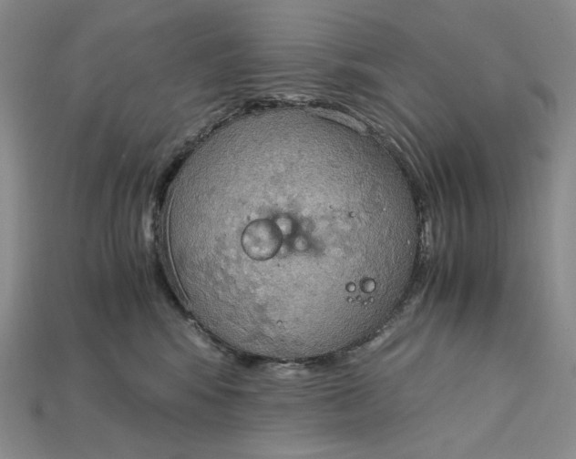 X0000115180424200911121805