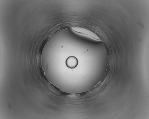 X0000115180425200911121805
