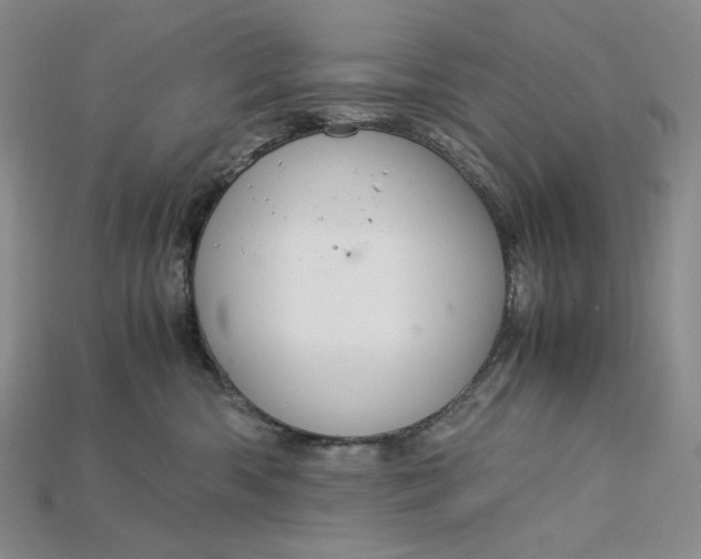 X0000115180426200911121805