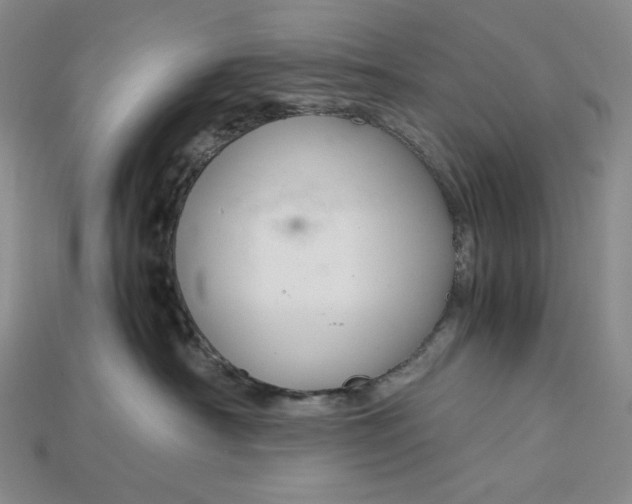 X0000115180430200911121805
