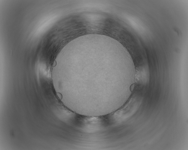 X0000115180431200911121805