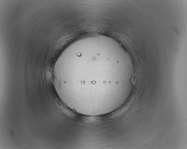 X0000115180432200911121805
