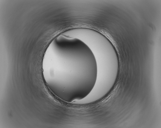 X0000115180433200911121804