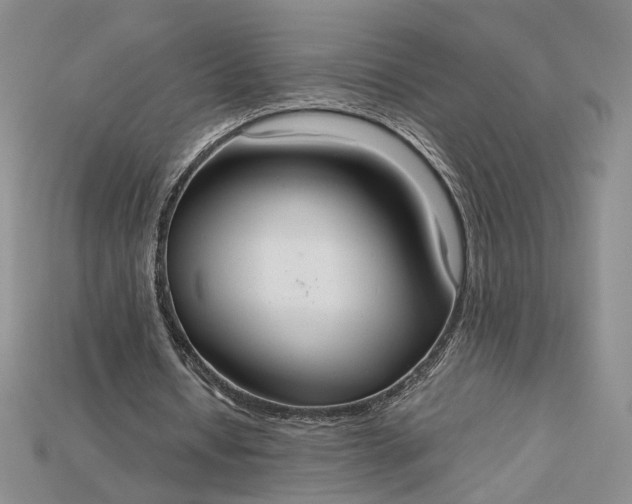 X0000115180434200911121804