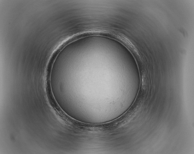 X0000115180436200911121804