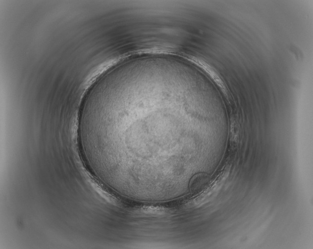 X0000115180437200911121804