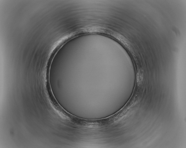 X0000115180438200911121804