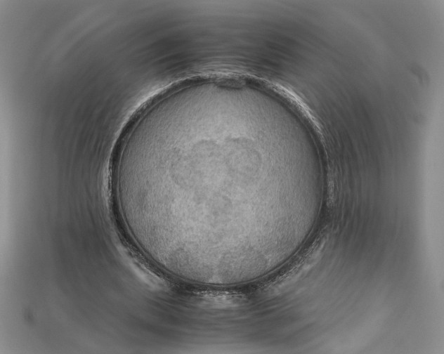X0000115180439200911121804