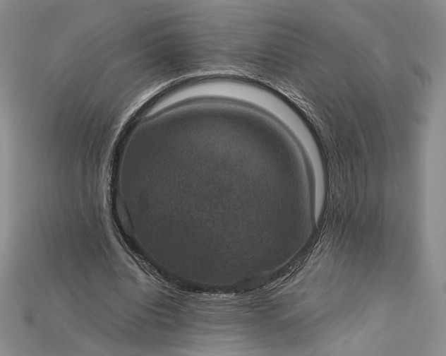 X0000115180440200911121804