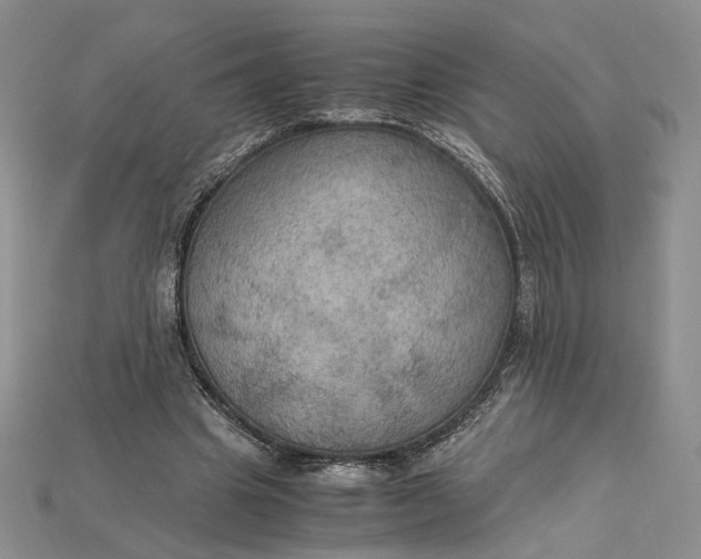 X0000115180441200911121804