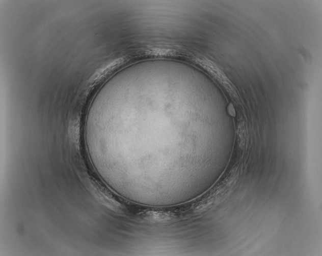 X0000115180442200911121804