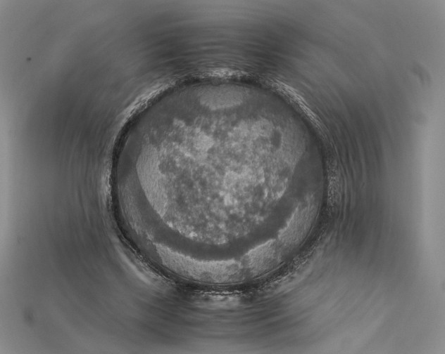 X0000115180443200911121804