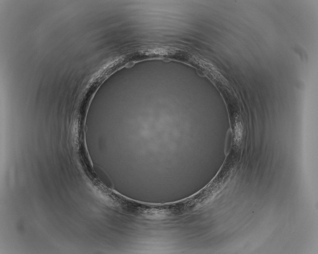 X0000115180444200911121804