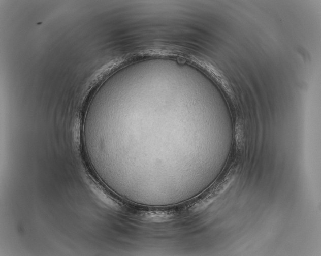 X0000115180445200911121804