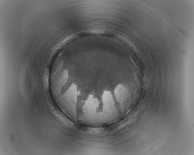 X0000115180446200911121804