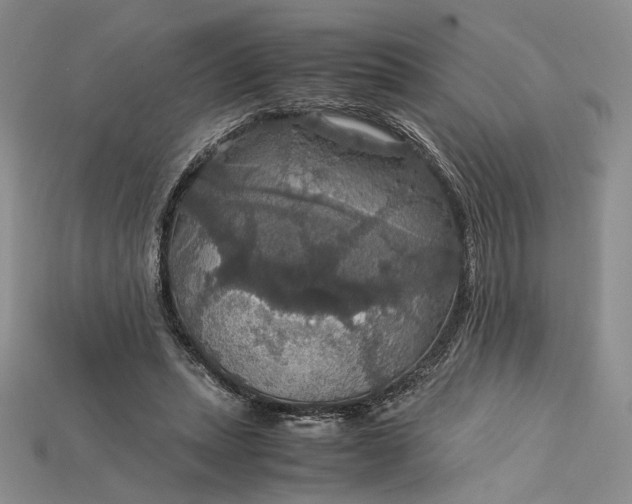 X0000115180447200911121804