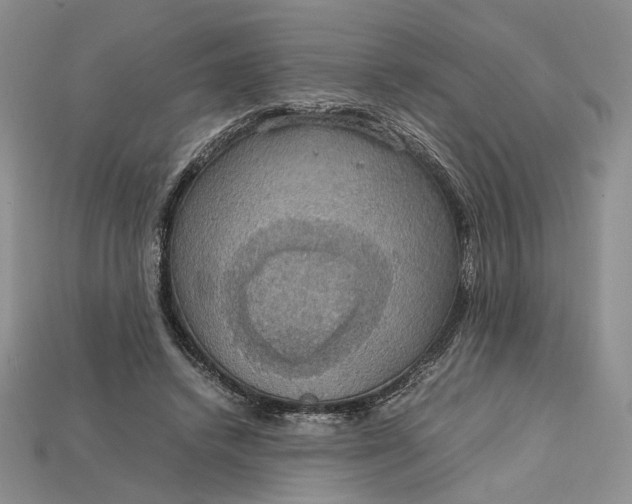 X0000115180448200911121804
