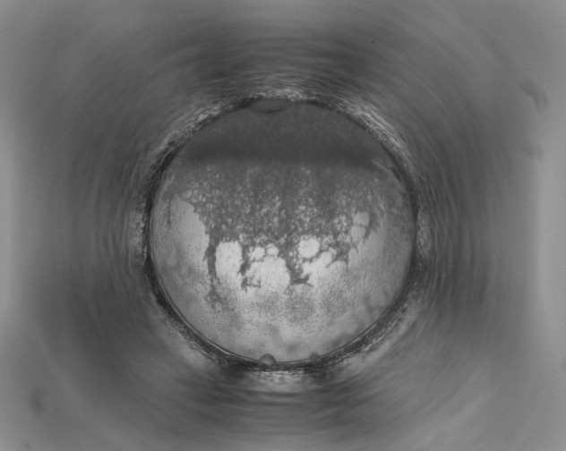 X0000115180449200911121804