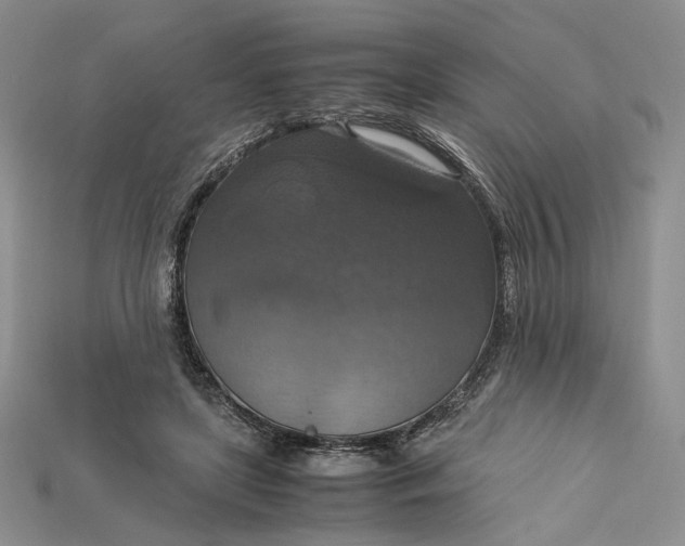 X0000115180451200911121804