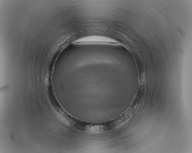 X0000115180452200911121804