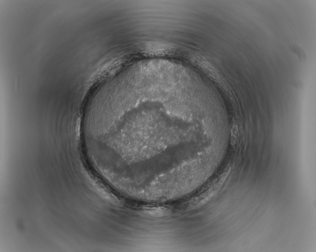 X0000115180454200911121804