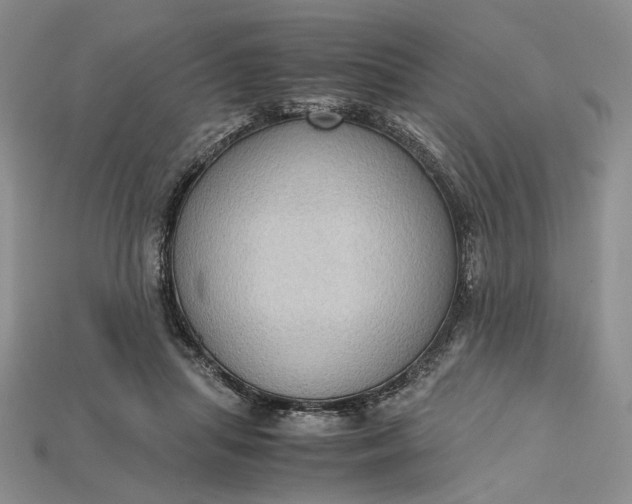 X0000115180455200911121804