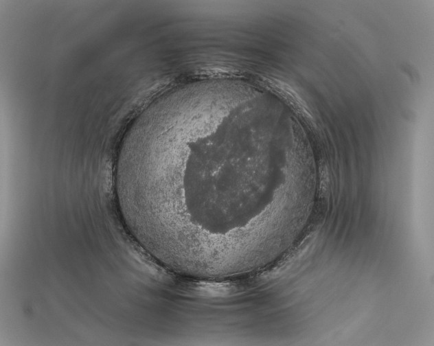 X0000115180457200911121804