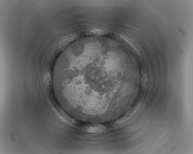 X0000115180459200911121804