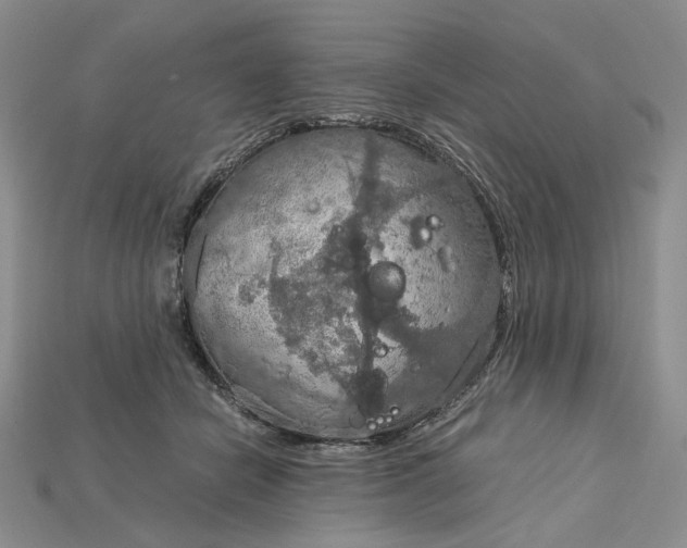 X0000115180462200911121805