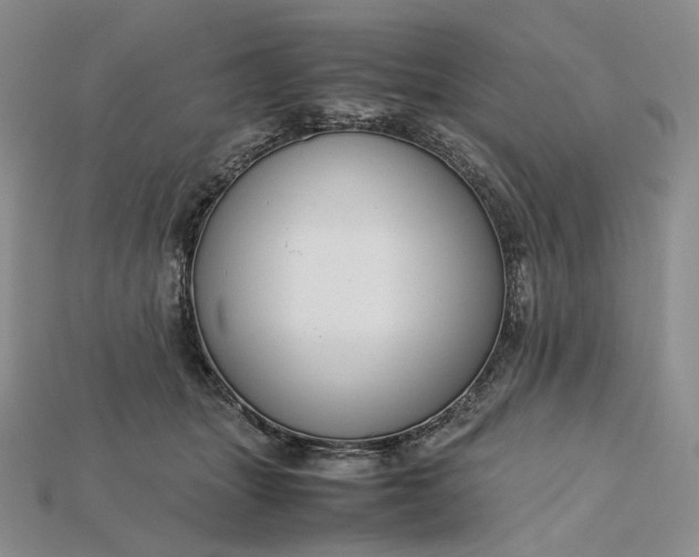 X0000115180463200911121805