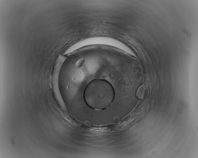 X0000115180465200911121805