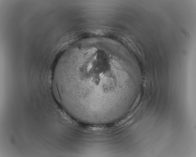 X0000115180466200911121805