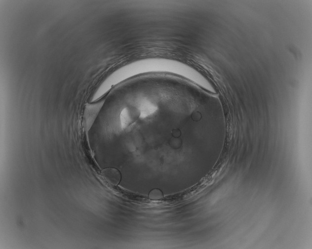 X0000115180467200911121805