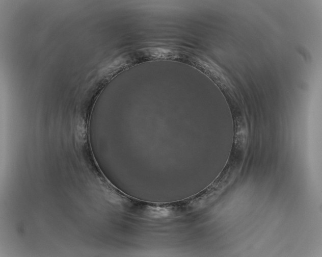X0000115180469200911121805
